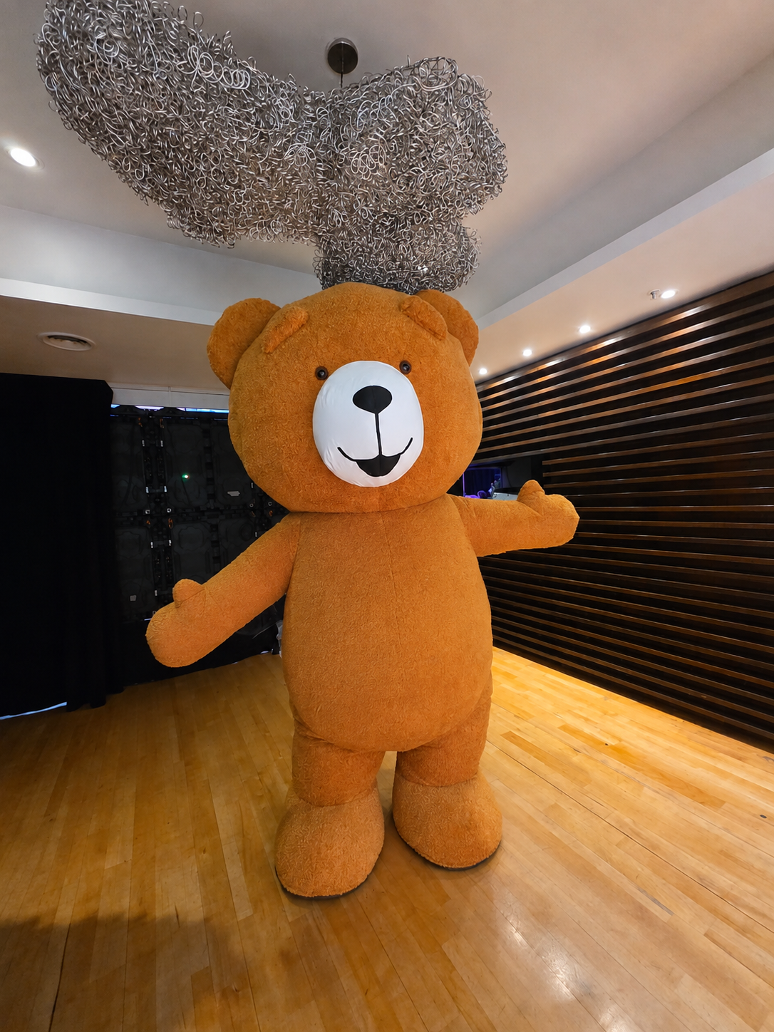 Teddy Boom